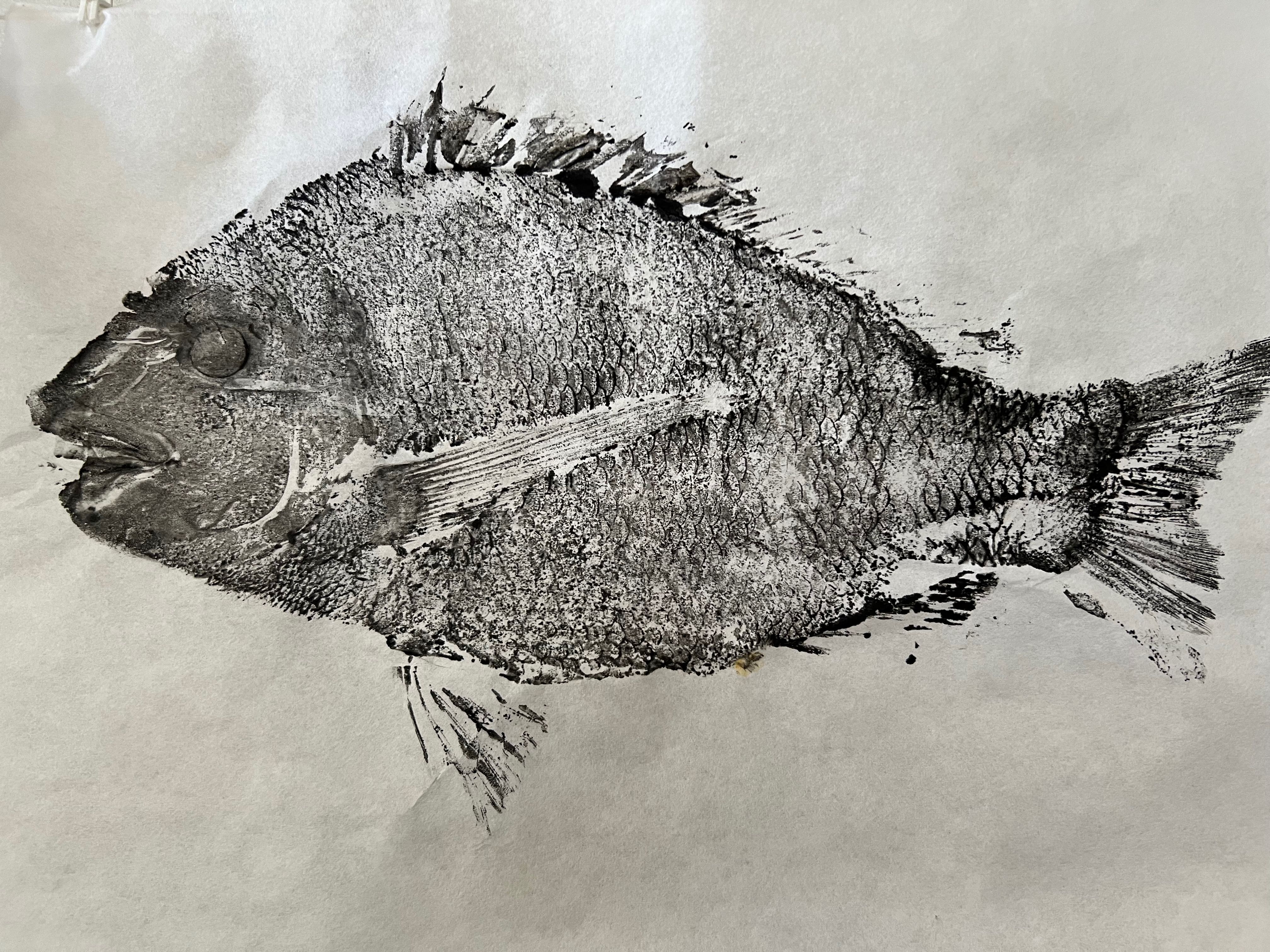 Gyotoaku print of a sheepshead.